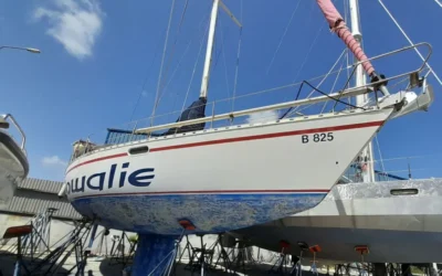 Boat Life Reality Check: When Osmosis Derails Your Plans (But Teaches You More)