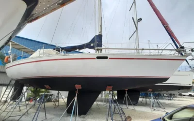 Boat Restoration Progress – Hull Painting Done & New Friends!