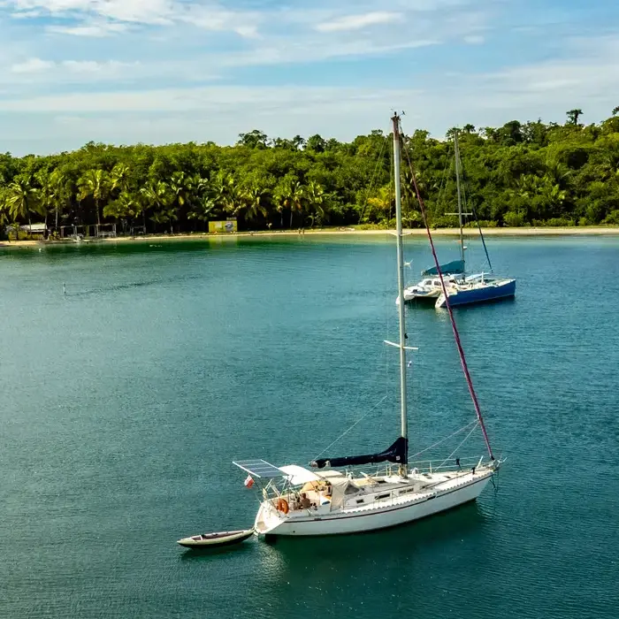 Anima in Bocas del Toro