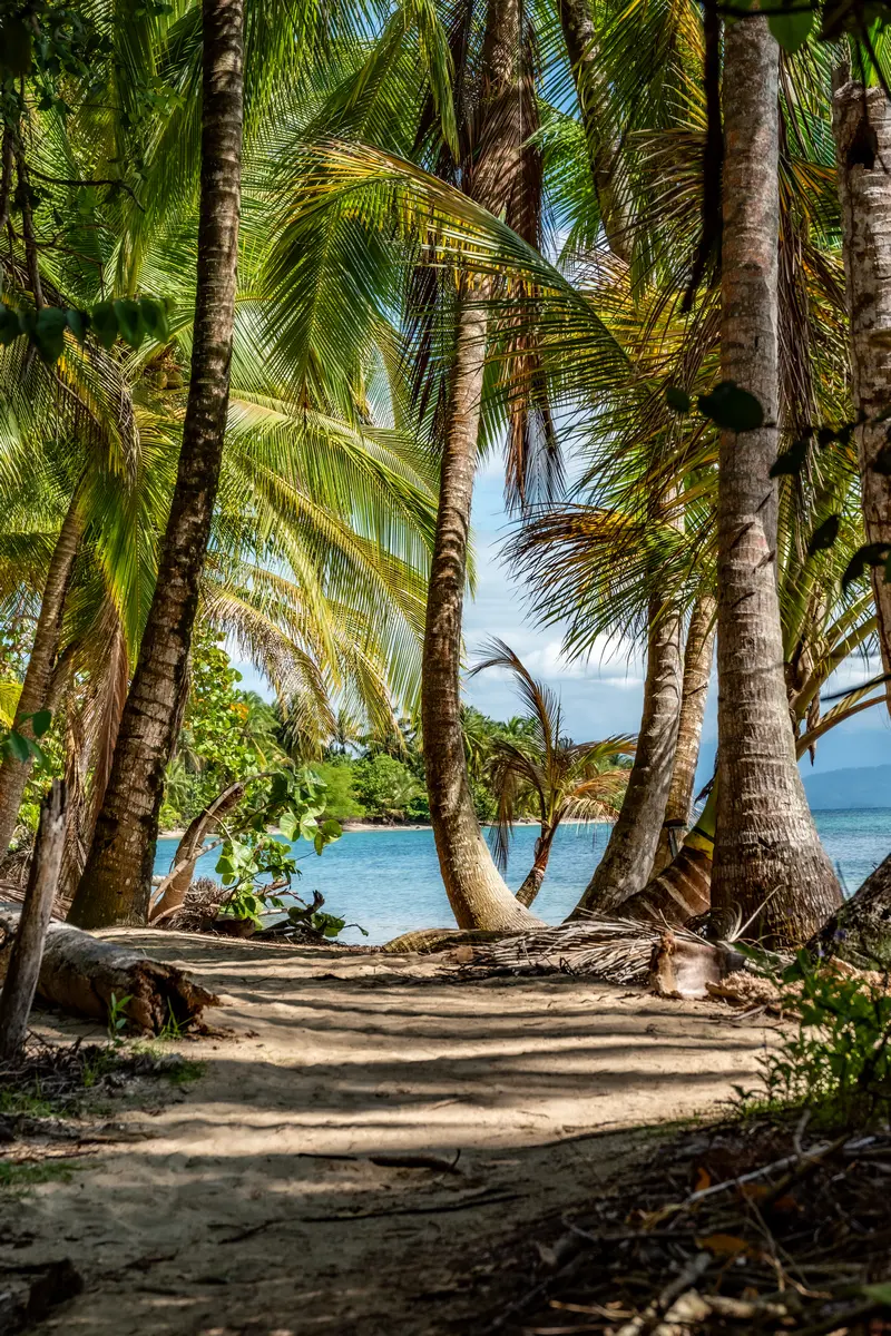Walk along the coast at playa estrella