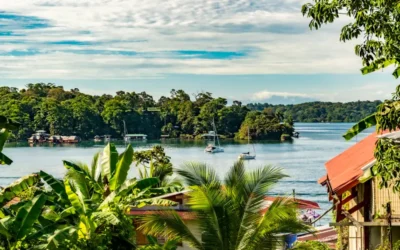 Sloths, Red Frogs & Jungle Trails — Two Weeks in Bocas del Toro