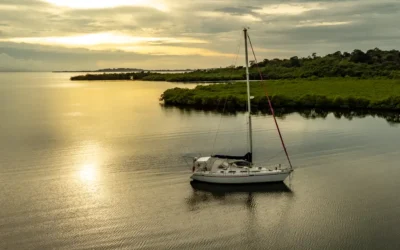 Mangroves, Dolphins & the Wonderland Trail — Kayaking Through Bocas del Toro