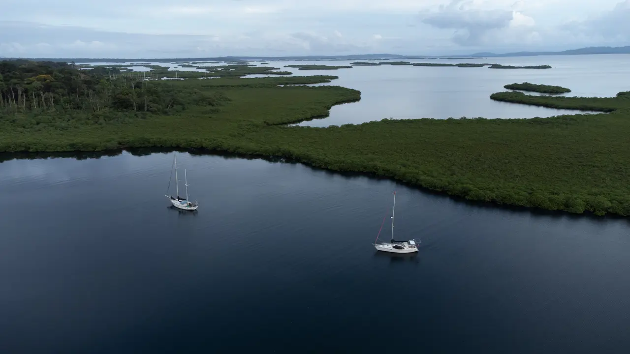 surronded by mangroves Isla Solarte surronded by mangroves Isla Solarte
