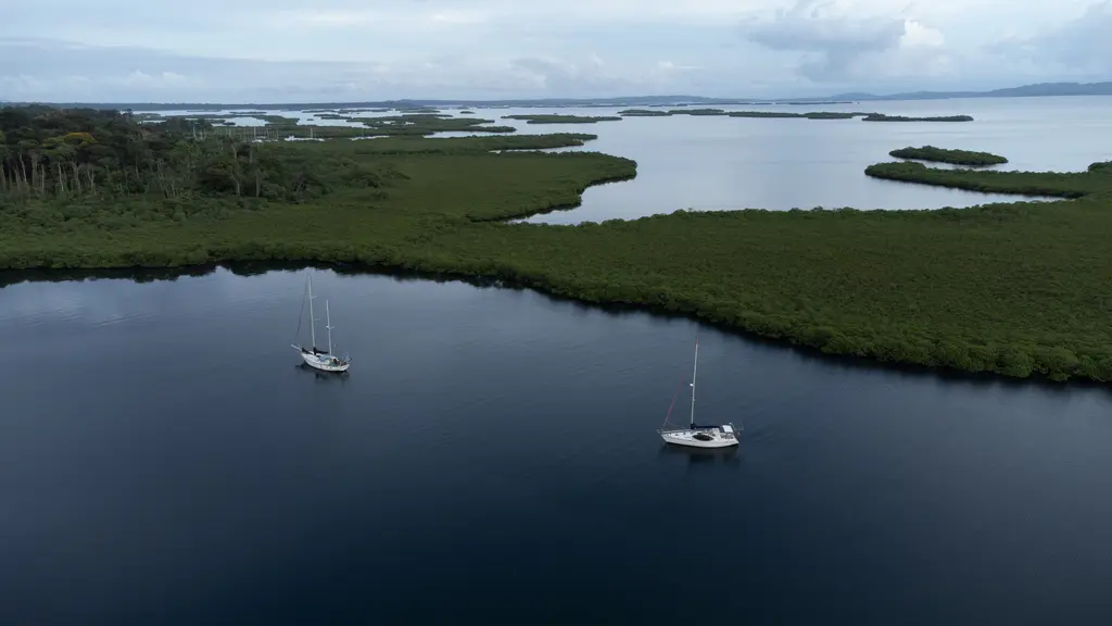 Mangrove islands in Bocas del Toro